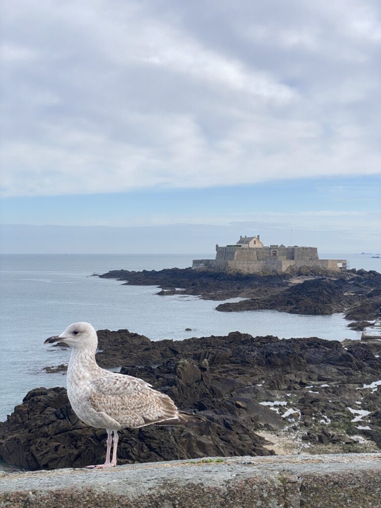 visite insolite de saint-malo en famille ou en solo