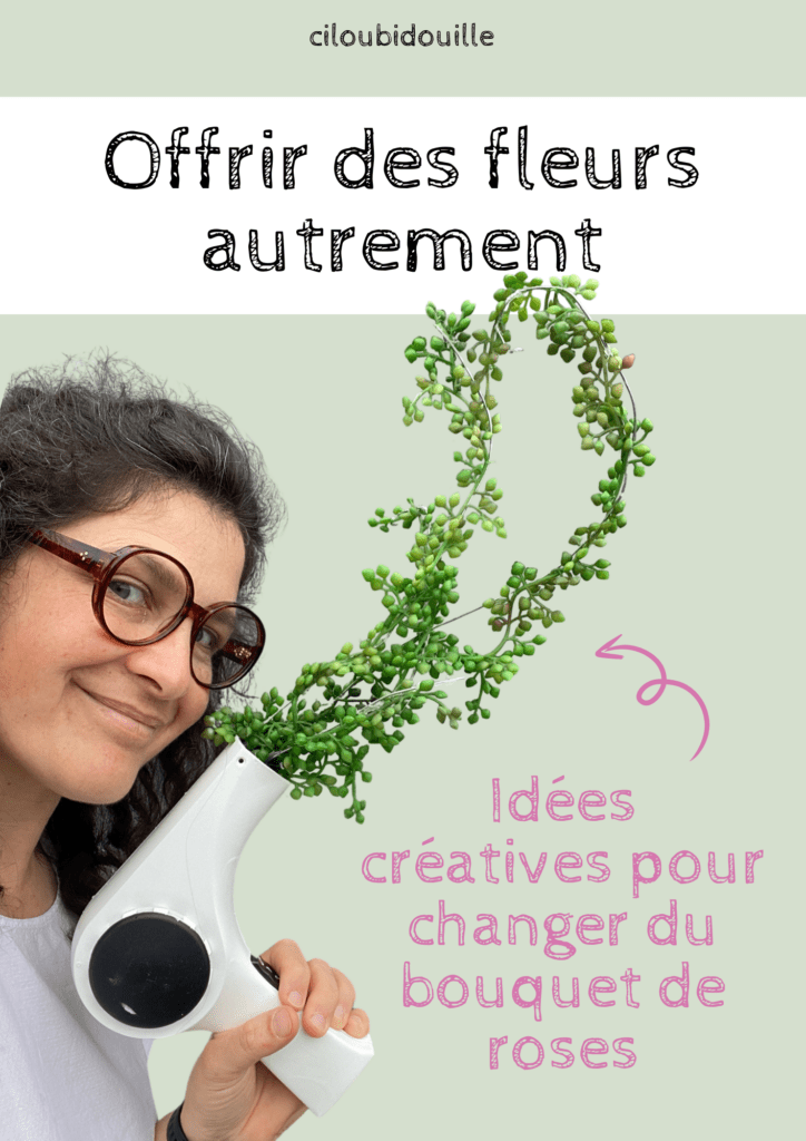 organiser un bundle Pack tout vegetal ciloubidouille