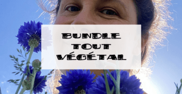 bundle tout vegetal ciloubidouille ebook