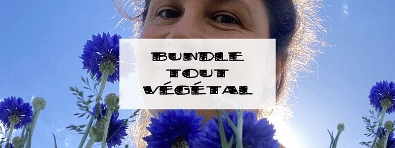 bundle tout vegetal ciloubidouille ebook