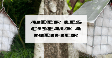 comment aider les oiseaux à nidifier avec ce distributeur de poils d'animaux