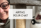 géolocalisation : airtag pour chat