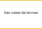 ciloubiNews MEA