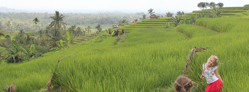 Voyage à Bali – Temple de Batukaru et rizière de Jatiluwih #5